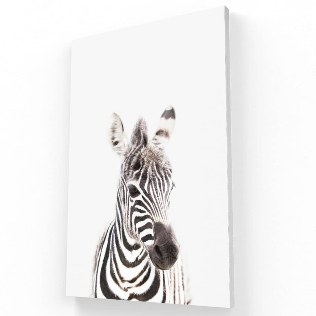 Zebra Kids