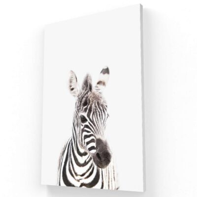 Zebra Kids