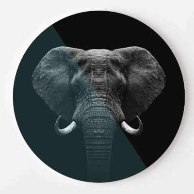 Elefante Black & White