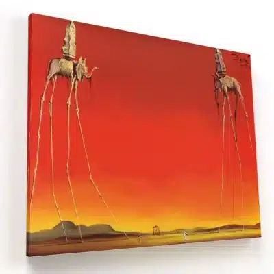 los-elefantes-dali-can