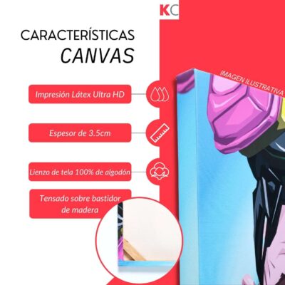 cuadros decorativos para salas