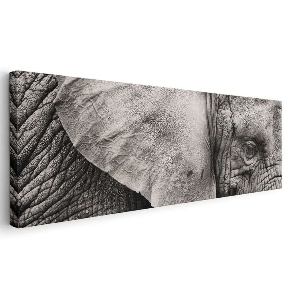 Piel de elefante