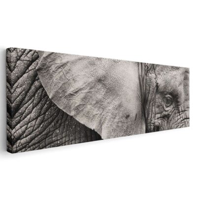 Piel de elefante