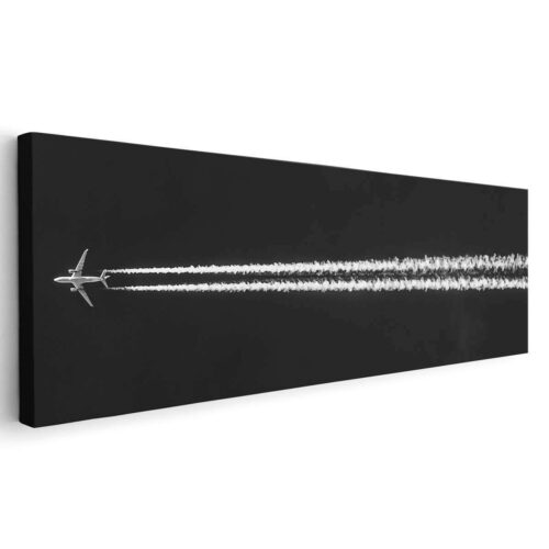 Vuelo del Avión