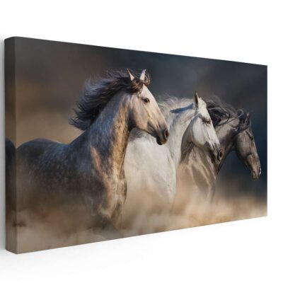 Tres Caballos