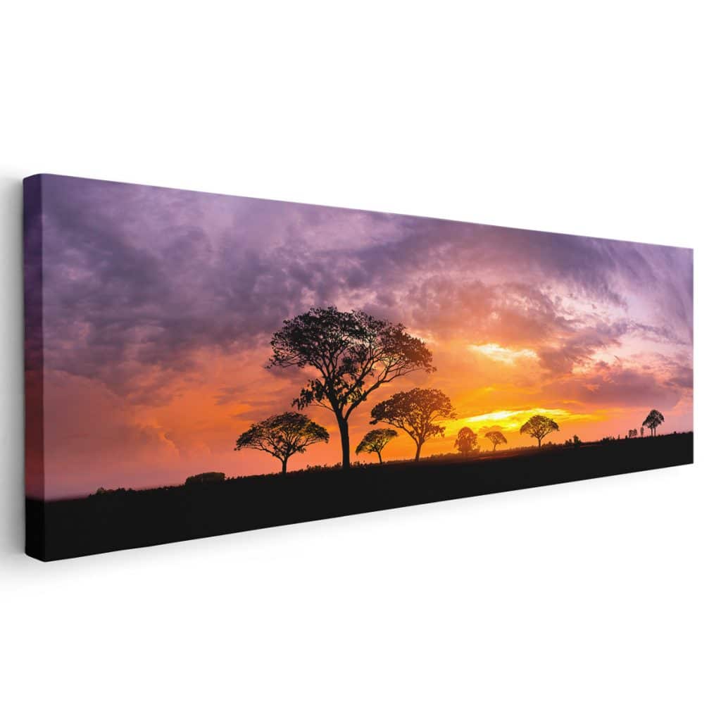 Horizontes de África