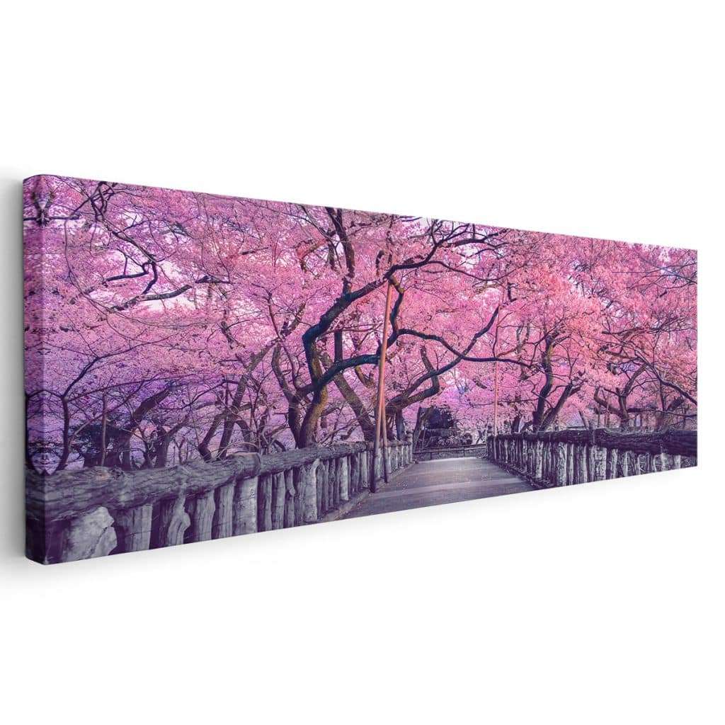 Cuadros Decorativos | Tienda en Línea | Envío Gratis México Parque Sakura Japón
