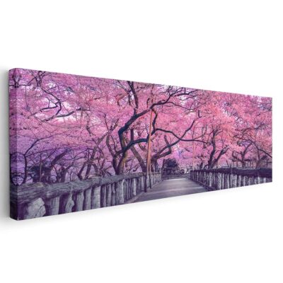 Parque Sakura Japón