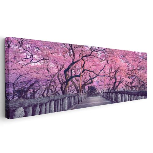 Parque Sakura Japón