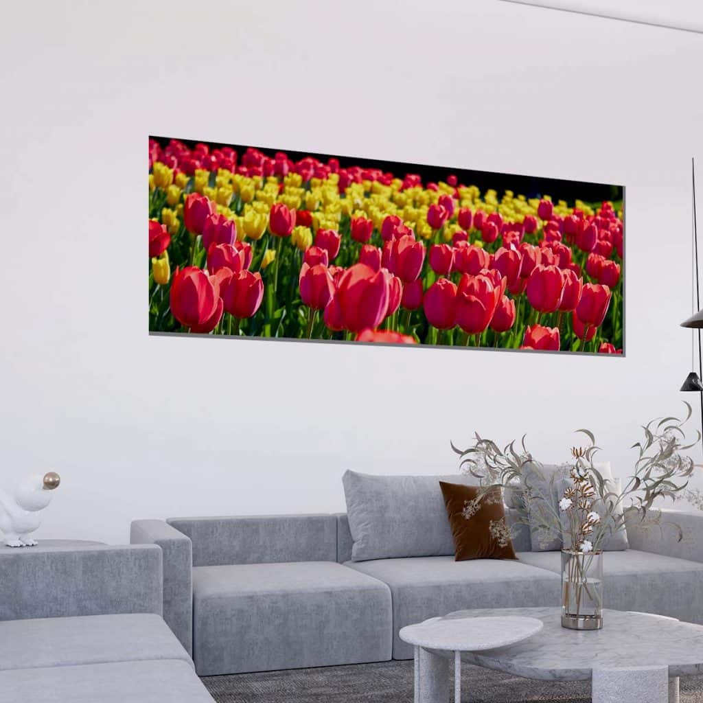 cuadros de tulipanes
