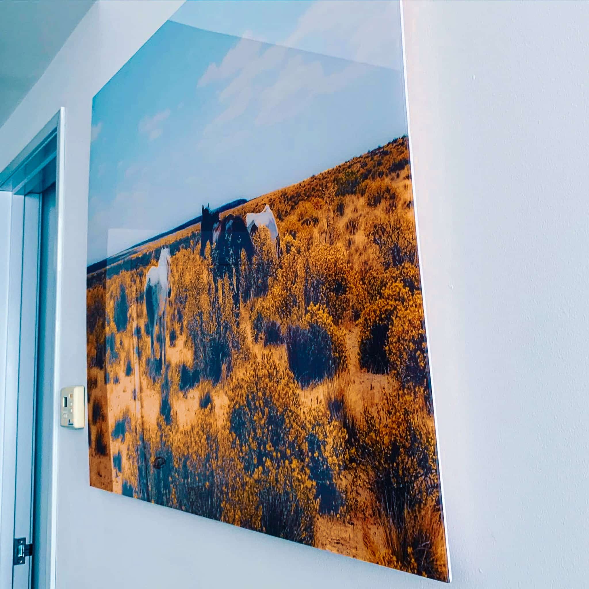 Galería de Cuadros Decorativos | Fotos De Clientes Krea Canvas Cuadro ACRÍLICO