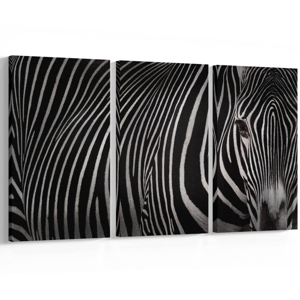 Zebra Print