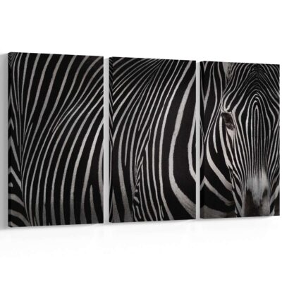 Zebra Print