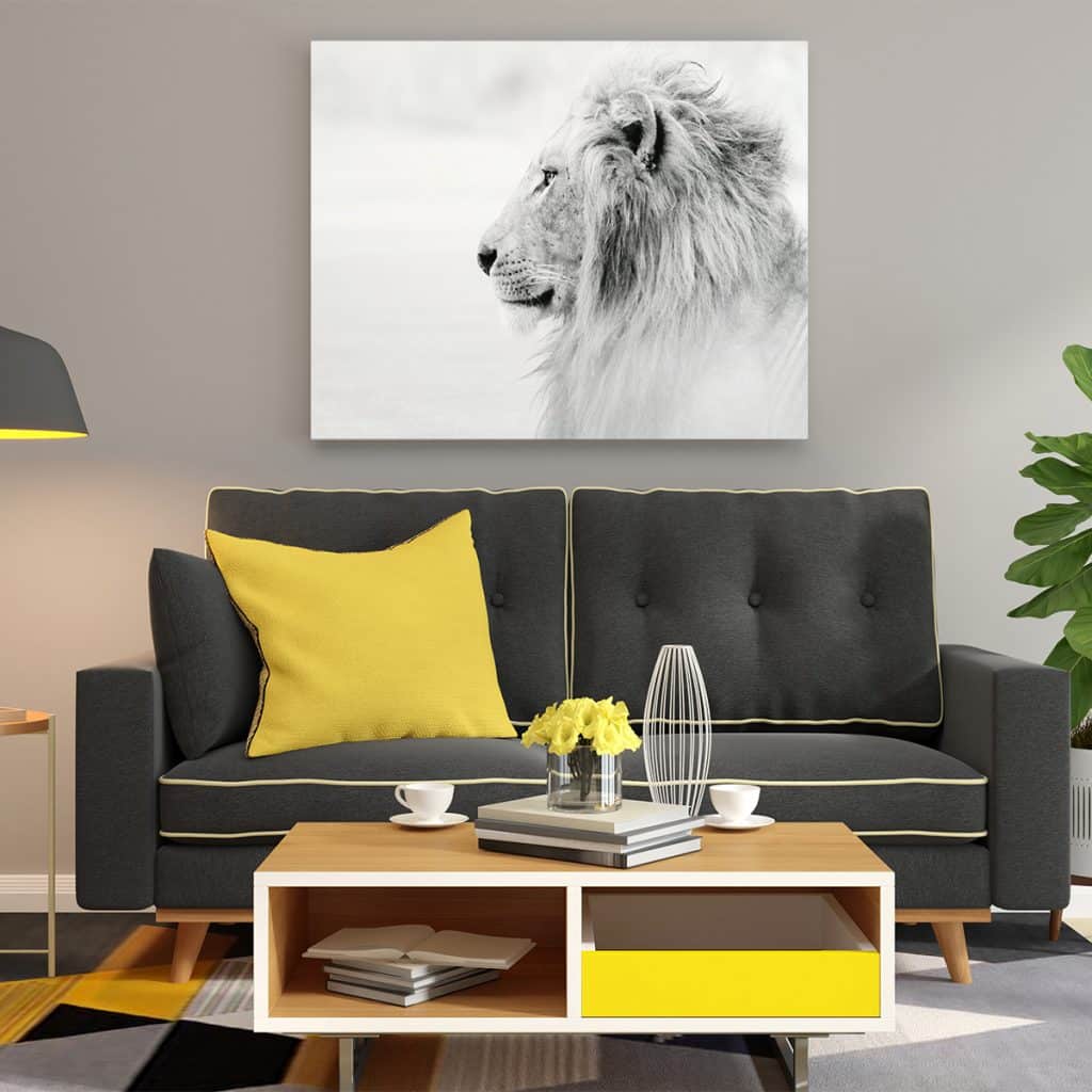 Canvas Impreso