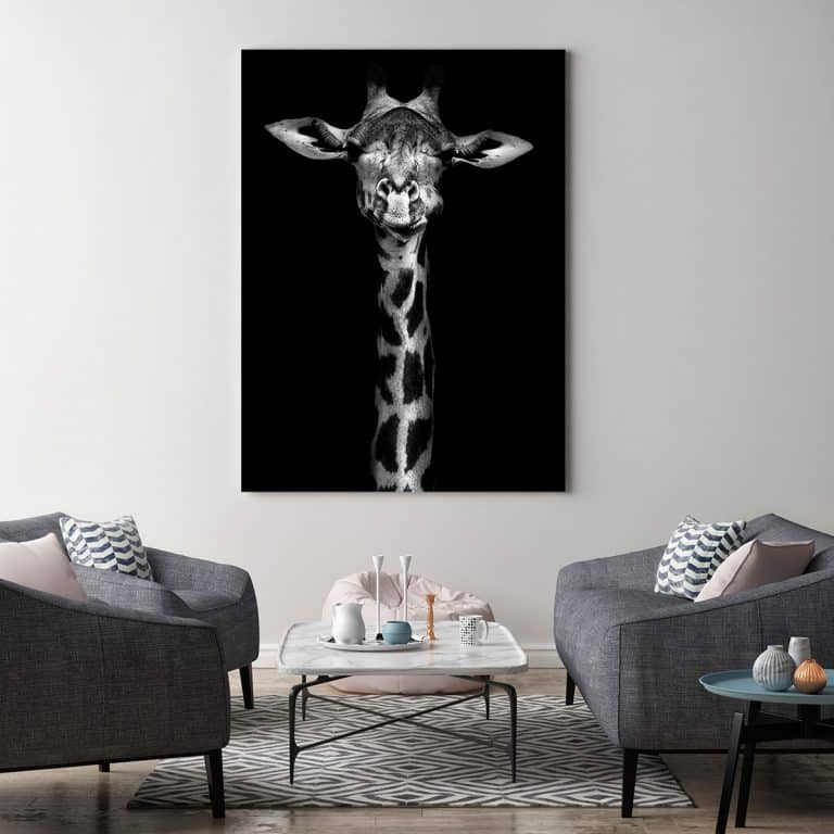 Cuadros personalizados méxico