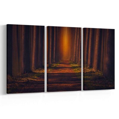 Camino de árboles