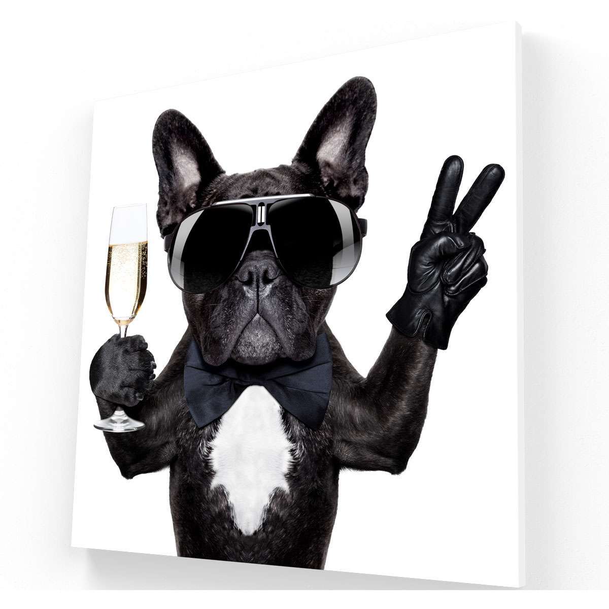 Dog wine and peace