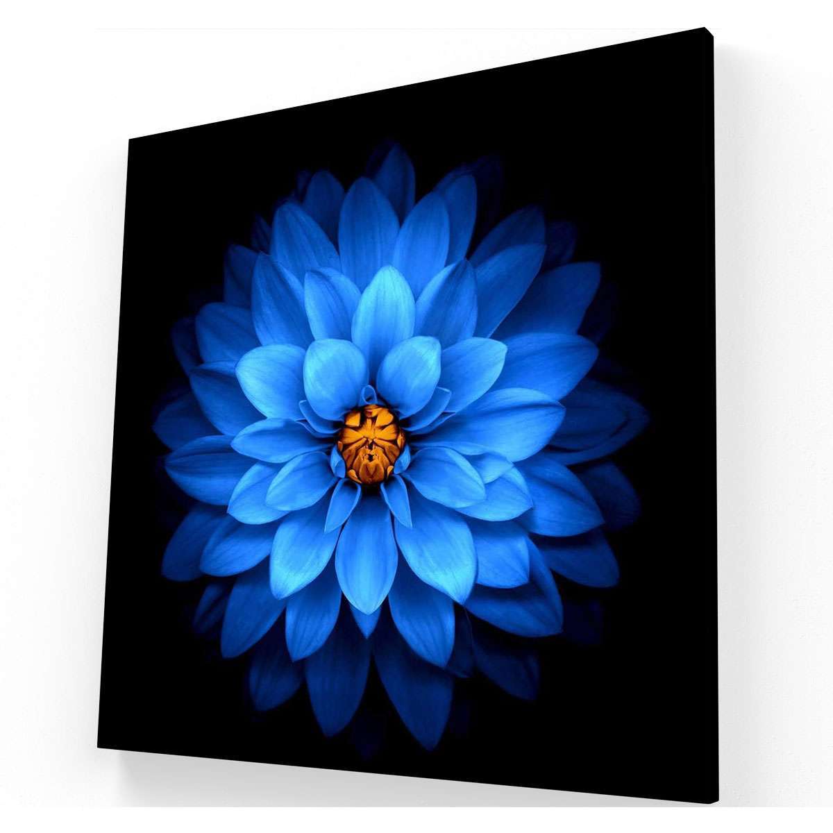 Flor azul