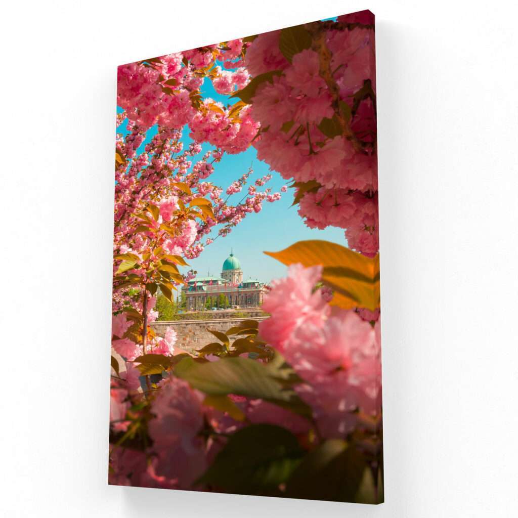 amanecer entre flores