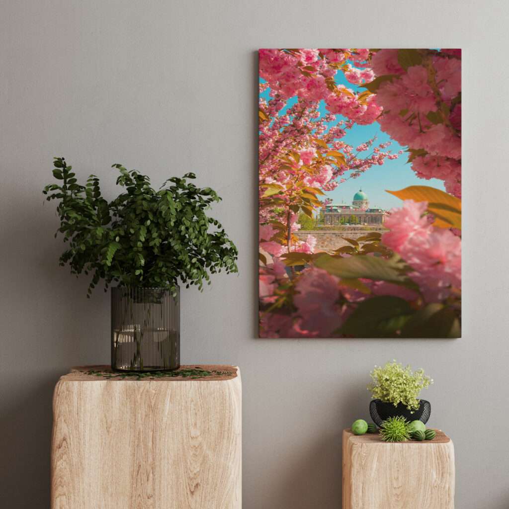 amanecer entre flores