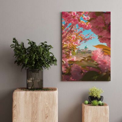 amanecer entre flores