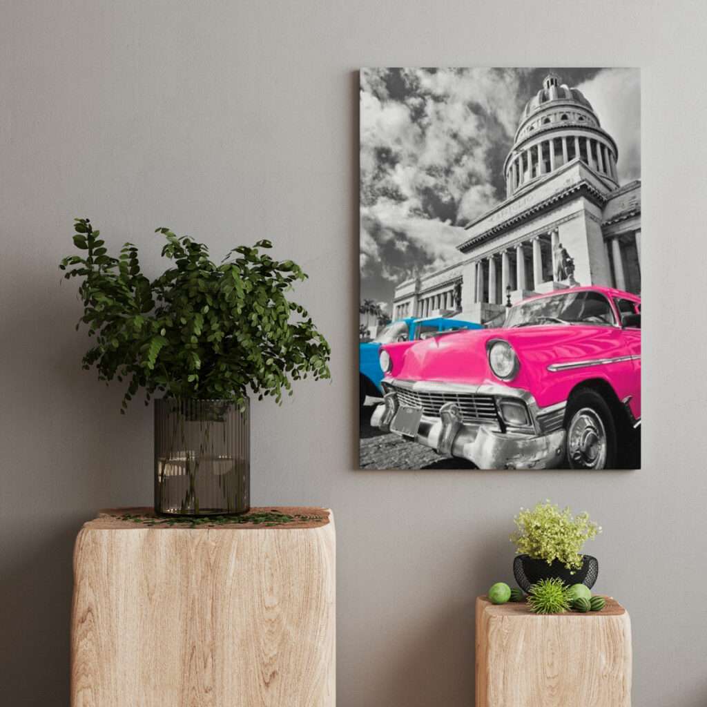 auto de colores