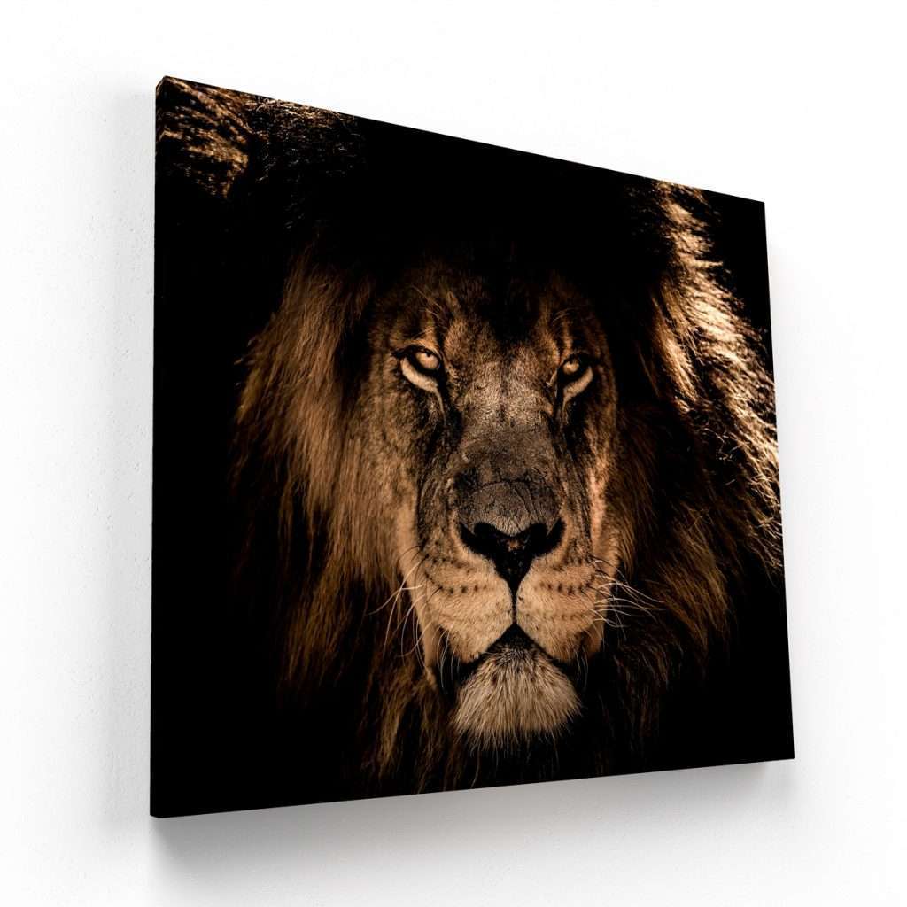 León Poderoso