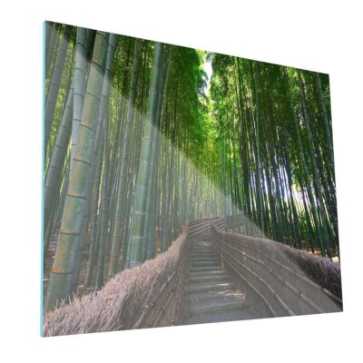 Bosque de Bambú