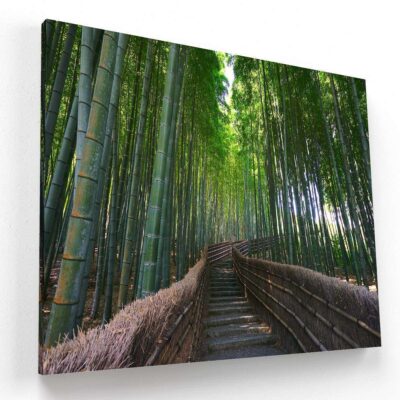Bosque de Bambú