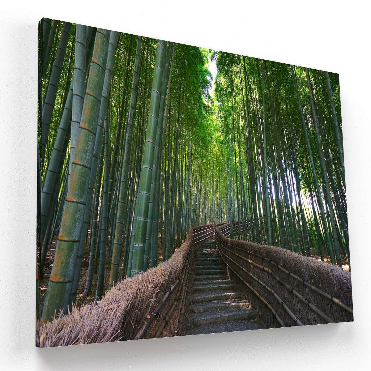 Bosque de Bambú