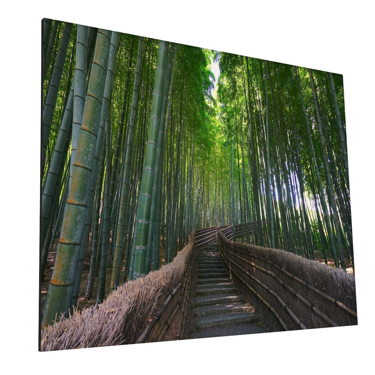 Bosque de Bambú