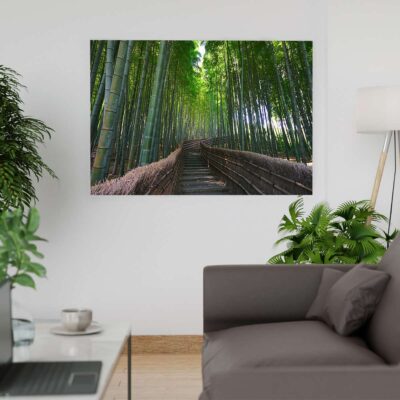Bosque de Bambú