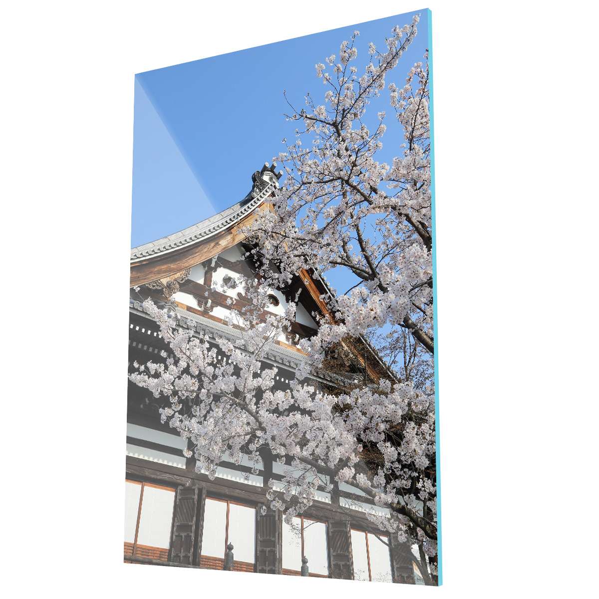 Flores de Japón