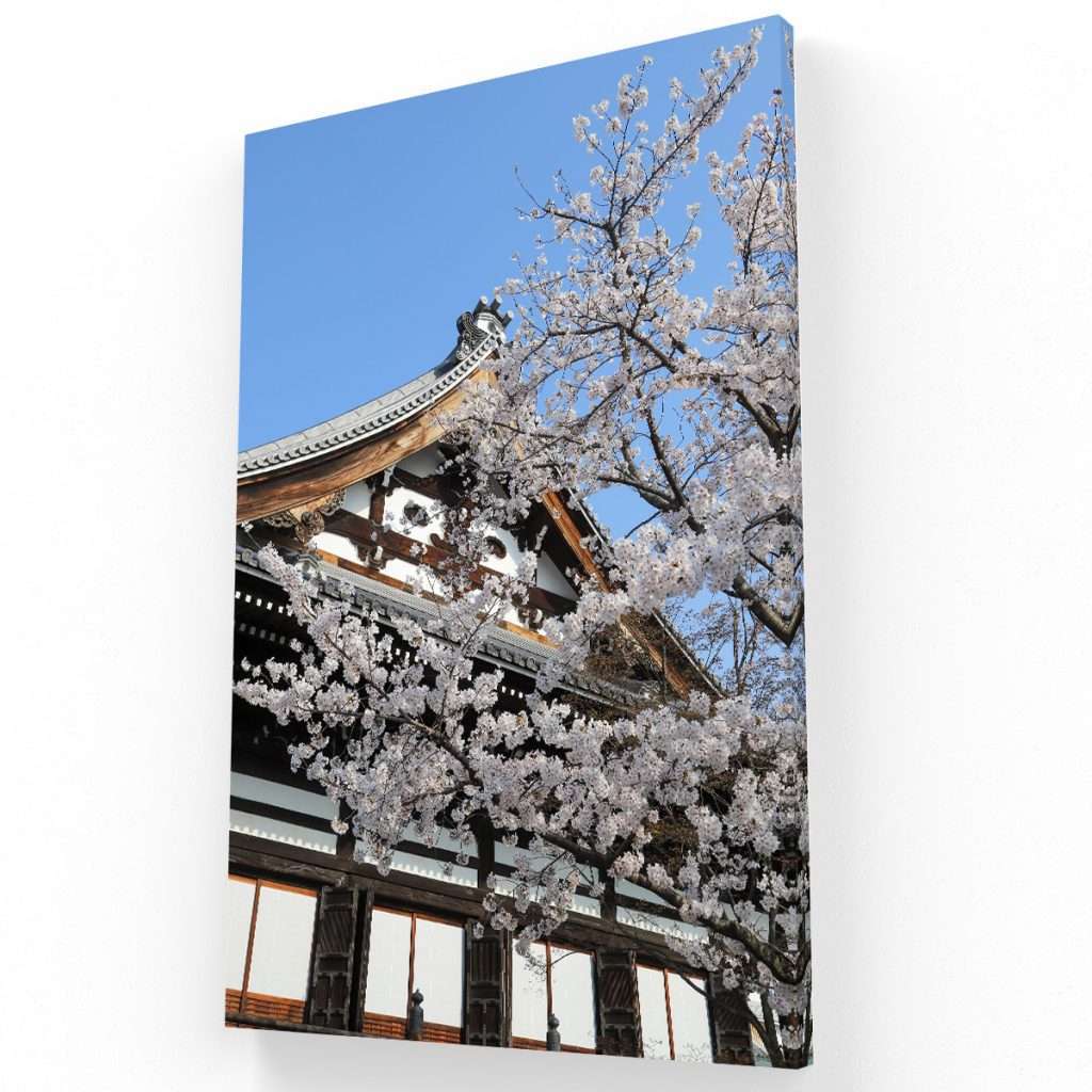 Flores de Japón