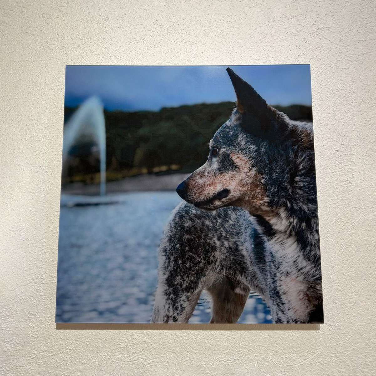 Galería de Cuadros Decorativos | Fotos De Clientes Krea Canvas Cuadro ACRÍLICO