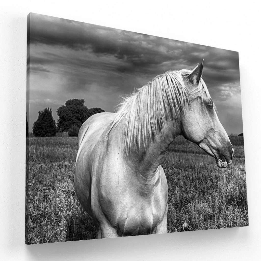 Caballo Libre
