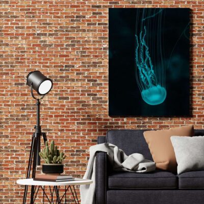 Medusa Azul - V - sala