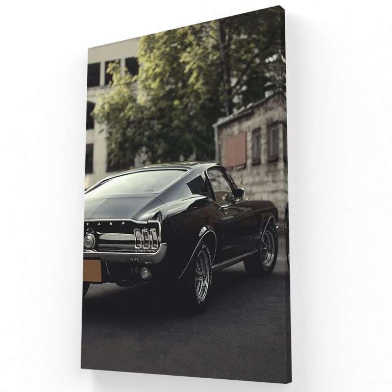 Mustang II