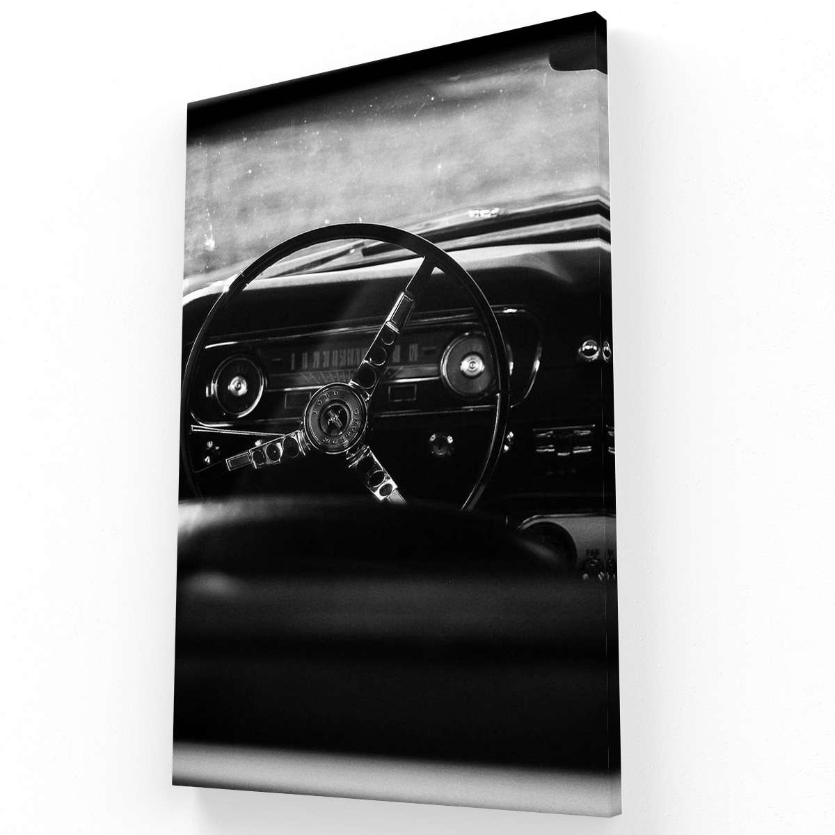 Mustang III