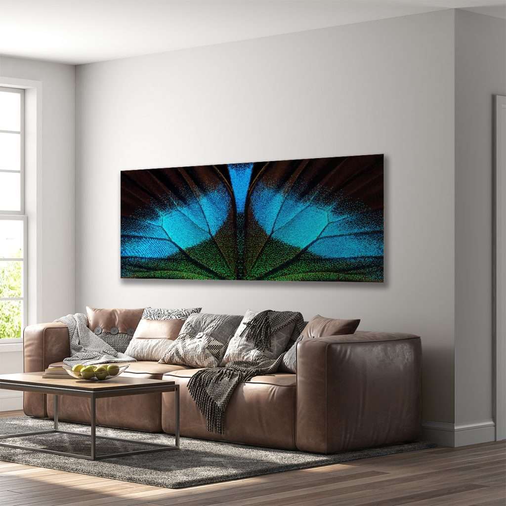 Ala de mariposa