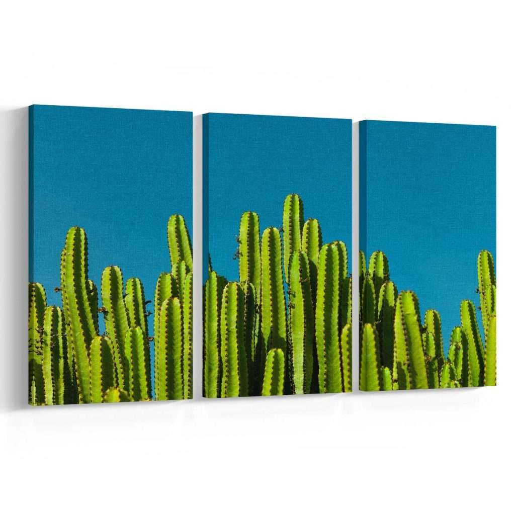 Cactus-Iberia