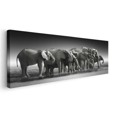 Familia de Elefantes BN