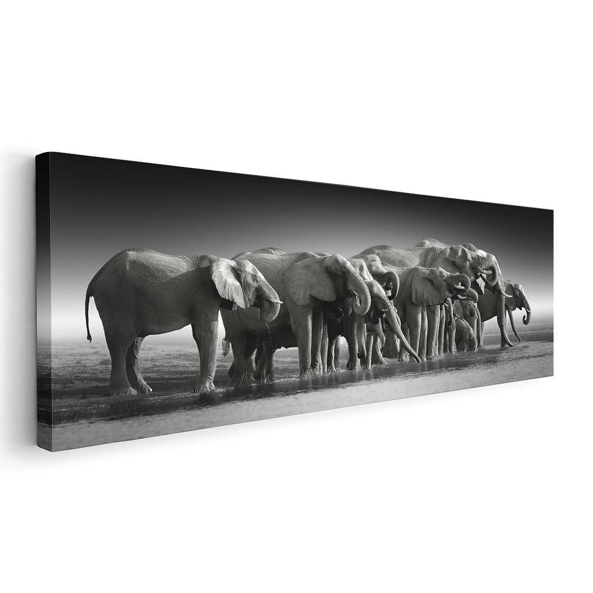 Familia de Elefantes BN