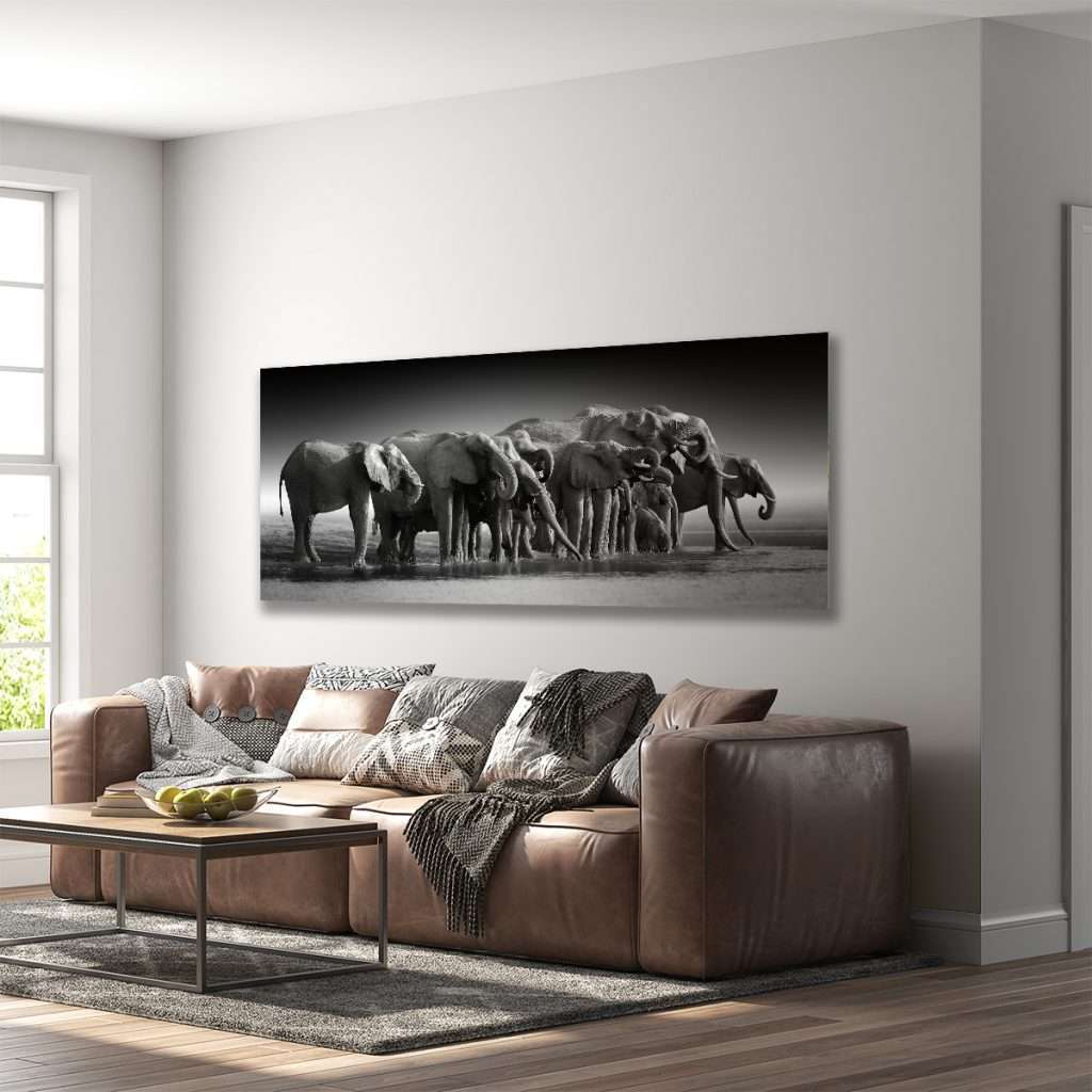cuadros decorativos canvas