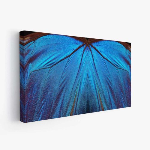Mariposa Azul