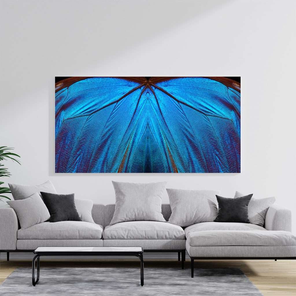 Mariposa Azul