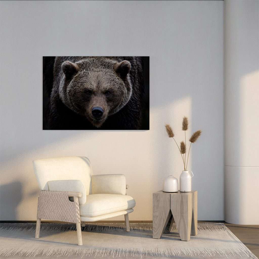 Oso pardo