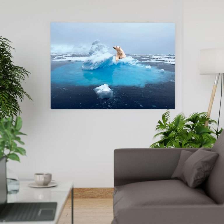 Acrílicos Querétaro