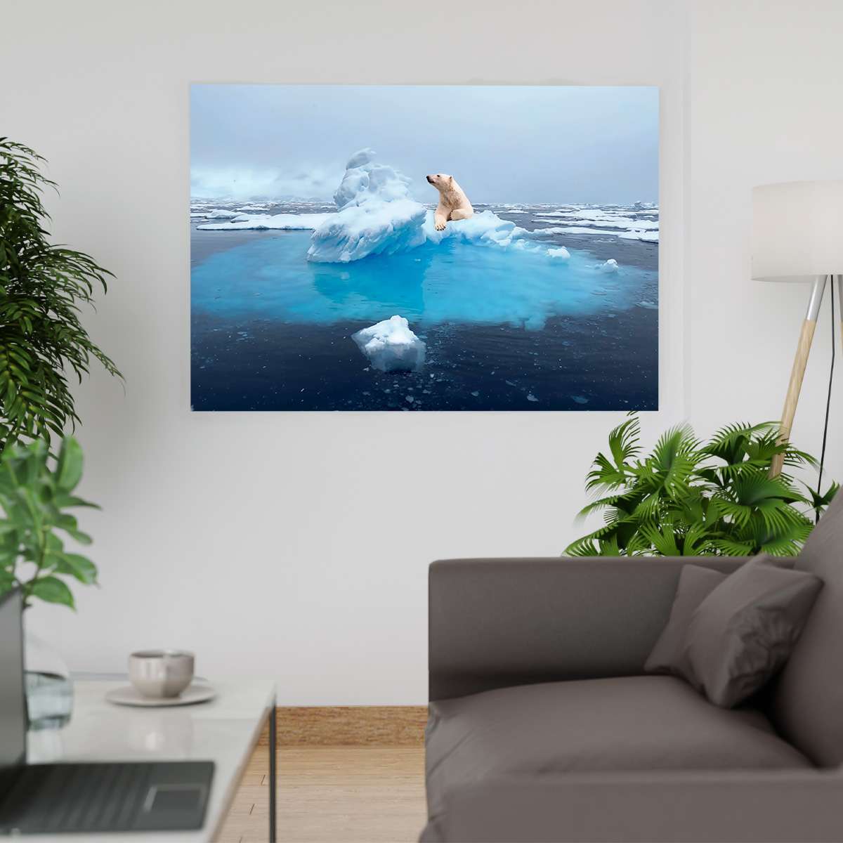 Acrílicos Querétaro