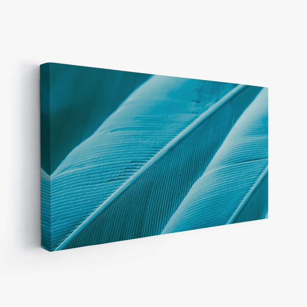 Plumas azules